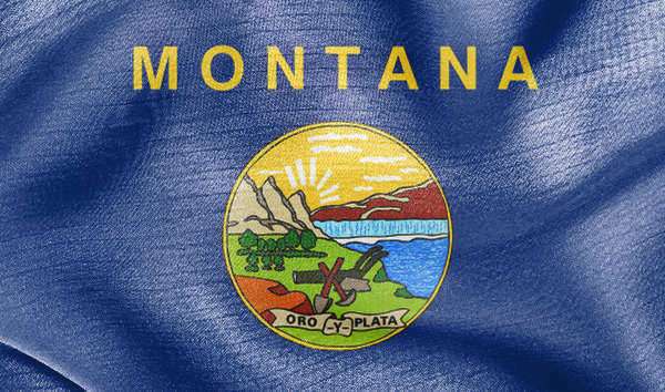 Montana Vehicle Registration 